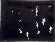 random Muster 2, Versuchsprogramm 1963, Computergrafik, 30/40 cm