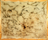 Materialbild, Holunder am Bisamberg, 1978, 200 x 240 cm 
