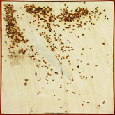 Materialbild, Kirschenkerne, 1974, 100 x 100 cm 
