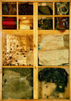 Materialkasten
Wabe, 1977 
40 x 30 x 5 cm
